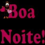 Boa
Noite
