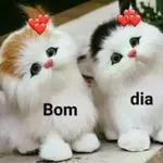 GOSTOSA