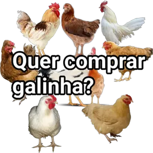 zJPCbm