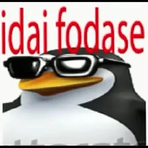 w82zkaa