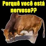 Boi🐮