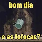 fofoca
