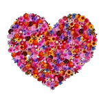 Ein liebes Küsschen für Dich