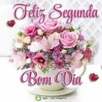 segunda feira 