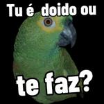 animais