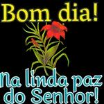 paz do Senhor!