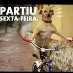  POIS EU SEI
