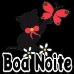Boa Noite