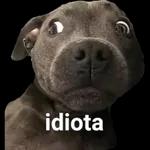 Obrigada Deus por mais um dia!!!