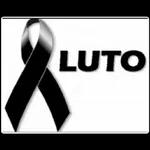 LUTO!