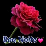 Boa noite