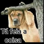 Beijos 😘😘