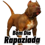 Muito obrigado.