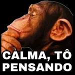 Calma❗️Respira