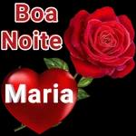 Bom dia flor