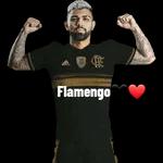 Flamengo Gol