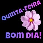 Quinta feira 