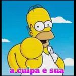 a culpa e sua 