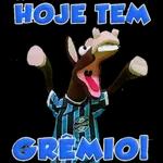 Pacote de Grêmio e memes
