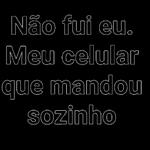 Não fui eu. Meu celular que mandou sozinho 
