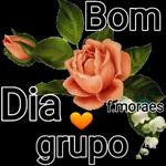  bom dia