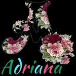 safadeza 