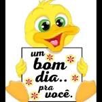 bom dia 