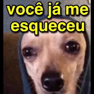 TyqfYb