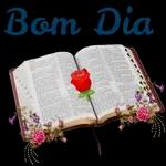 Bom Dia!