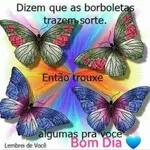 borboletas 
