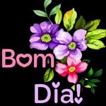 boom dia