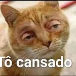 Por Ray_Luis WhatsApp é para responder rápido, se fosse para PARA 2 WhatsApp demorar, mandava carta Por Ray_Luisa 