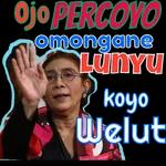 ok banget 