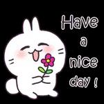 Have a Wonderful Day 🐻 🤎