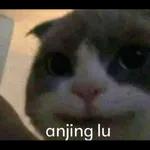  BATU