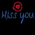 MISSYOU
