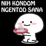 Kontol memek ngentot ewe