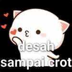 Kontol memek ngentot ewe