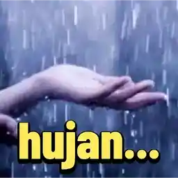                              CUTE ANIMASITOP STICKERS