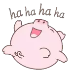 wasap 