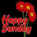 🙏🏻🙏🏻🙏🏻