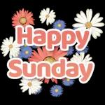 3DIAS SEMANA/FIN SEMANA03