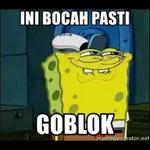ini bocah pasti goblok
