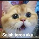 salah teros aku...