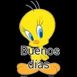 piolin