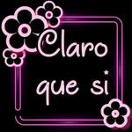 gris 22