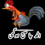 شانِ شناسی کی وجہ
