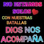 te de mate
