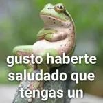 LLORELO PAPÁ CARACOL