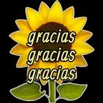 Gracias